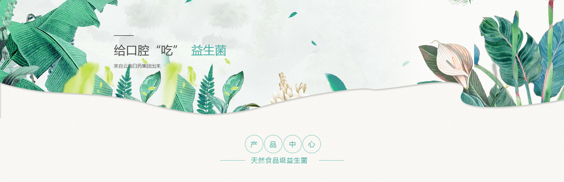ǲ(й)ٷվ